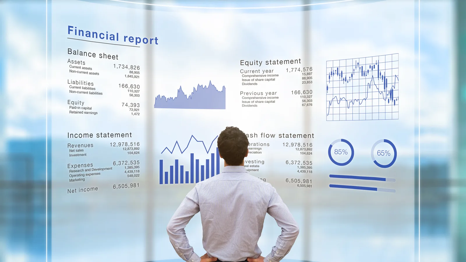 Decision-frame visual: financial dashboard with charts, balance sheet and equity statement